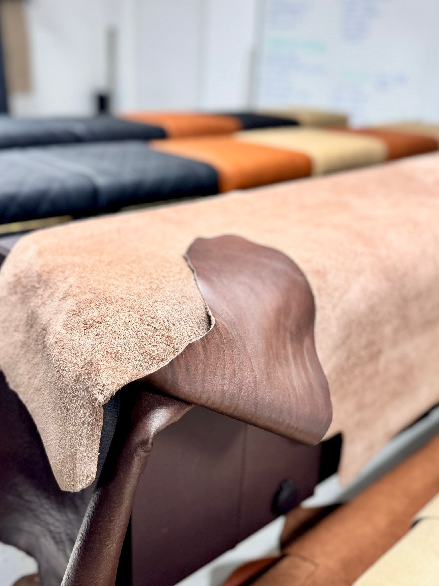 Palm Beach Edition — 3