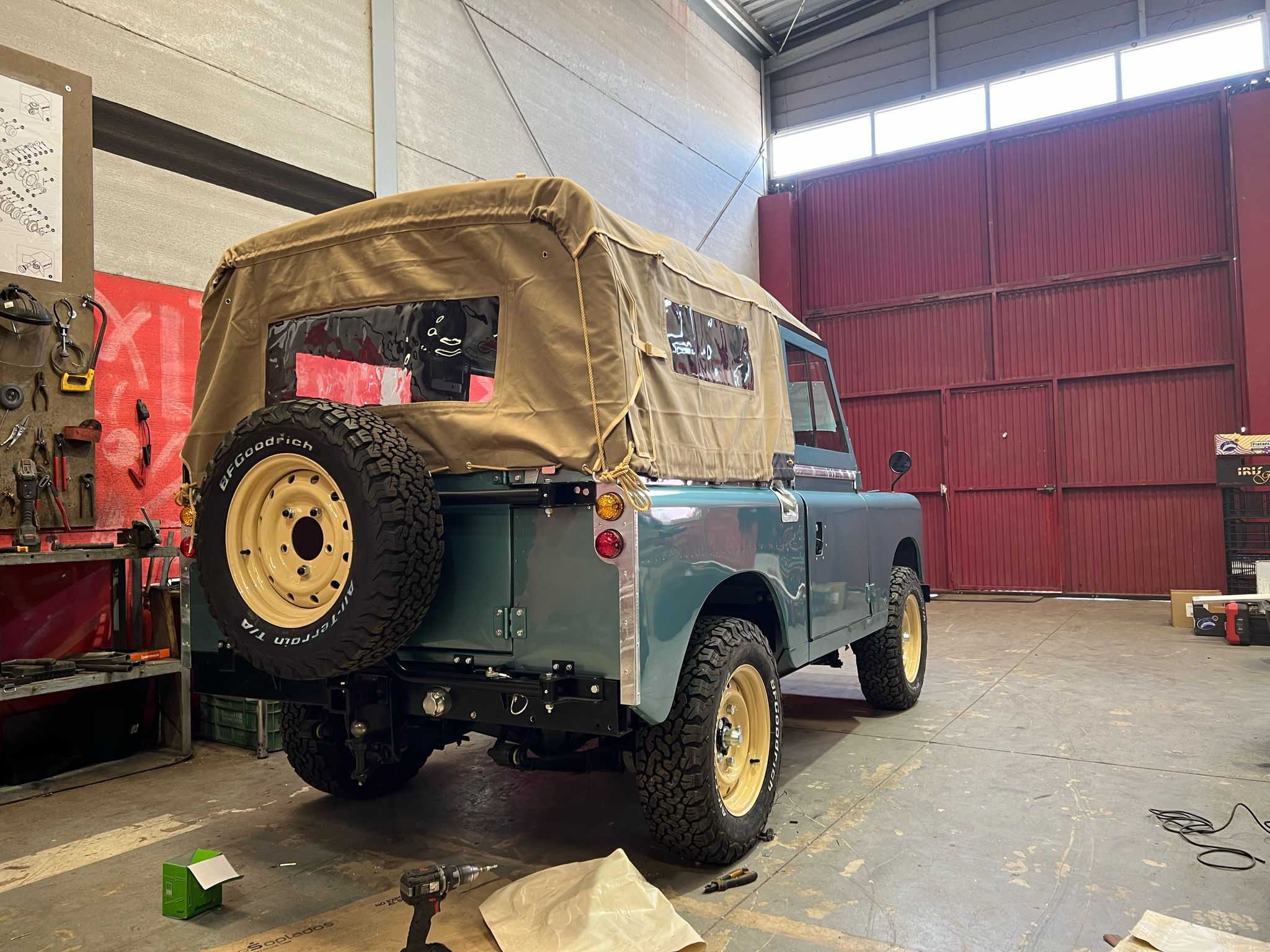 South Carolina Green — 6